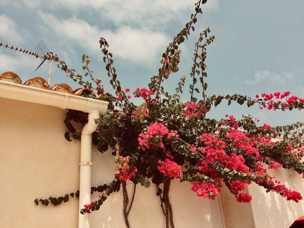Lovely Apartment Old Town Denia Bagian luar foto